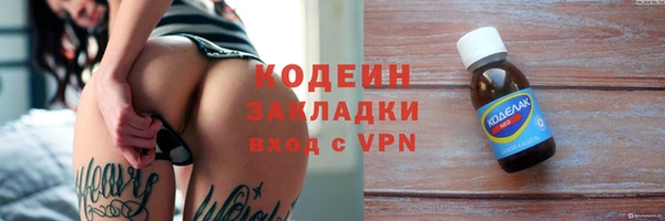 хмурый Рославль