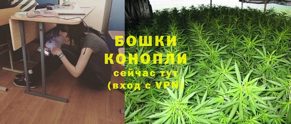 хмурый Рославль